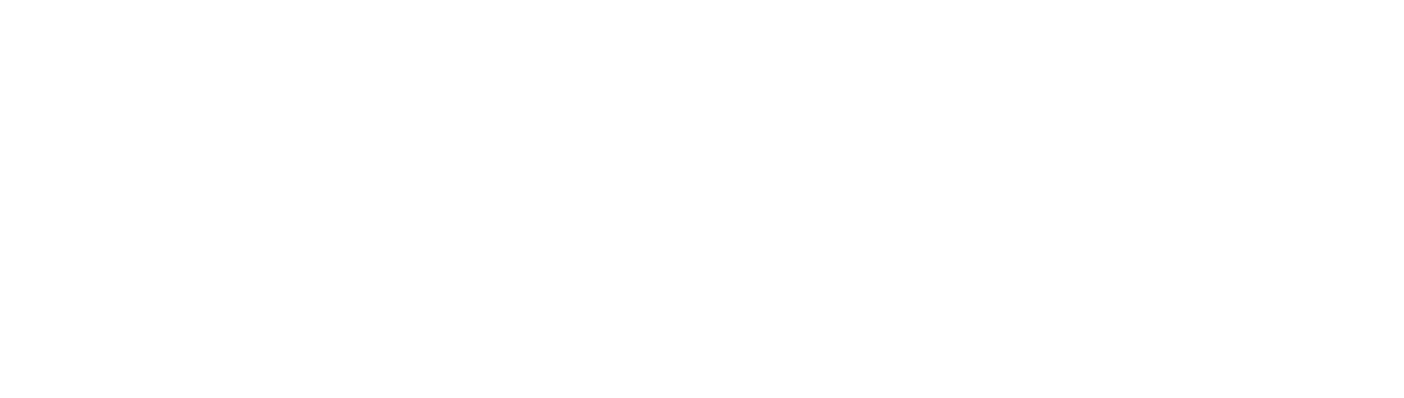 MaxFli Aviation